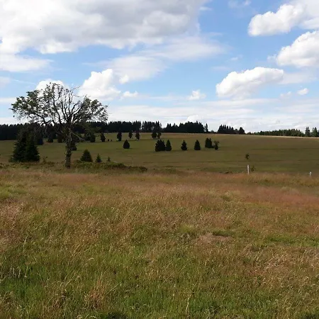 Ruzicka * Prebuz